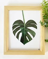 Kristen Aleida Monstera Art Prints