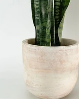 Lerato Plant Pot