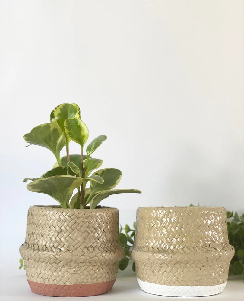 Cement Basket Pots