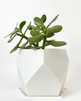 Sijo Plant Pots -Pearl White