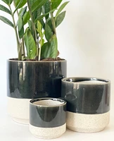 Miguel Plant Pots