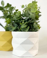 Geo Plant Pots