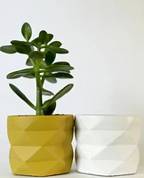 Geo Plant Pots