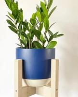 Bumble Plant Pot