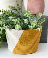 Hanging Plant Baskets