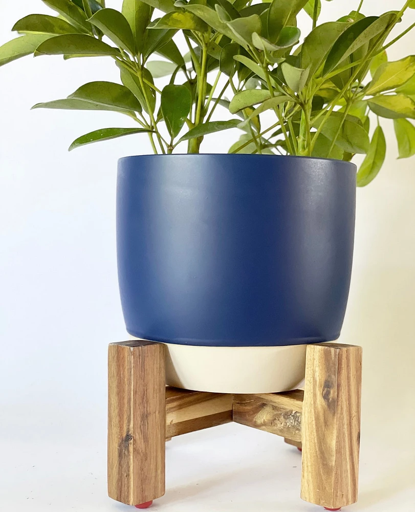 Bumble Plant Pot