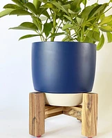 Bumble Plant Pot