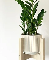 Leela Plant Pot