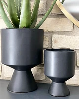 David Plant Pots