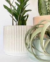 Leela Plant Pot