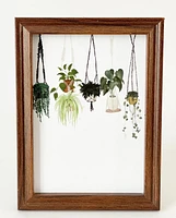 Kristen Aleida Hanging Plants Art Print