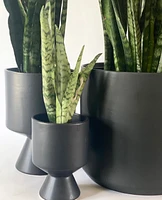 David Plant Pots