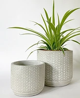 Chevron Plant Pots