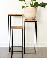 Plant Pedestals