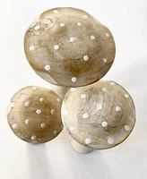 Meadow Mushrooms