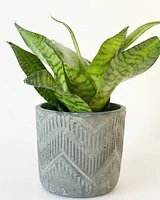 Weave Plant Pot