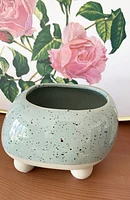 Pebble Plant Pot