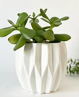 Aurora Pleated Plant Pot