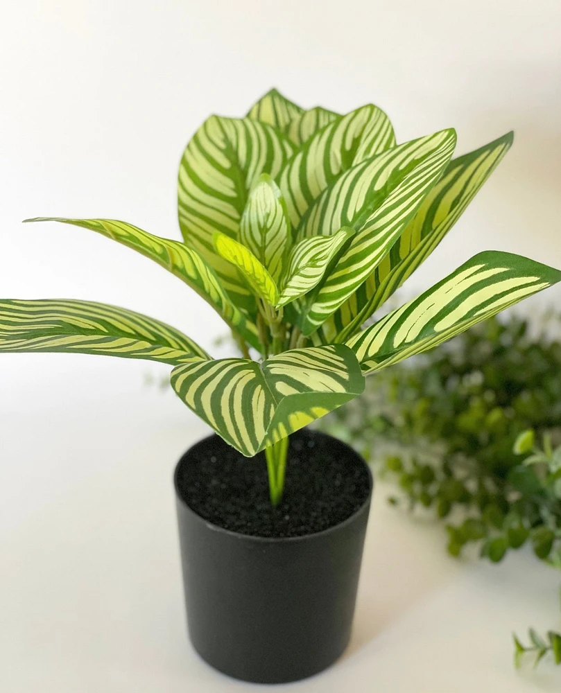 Faux Dieffenbachia Plant