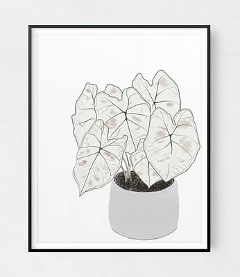 Caladium Star Art Print