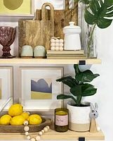 Faux Fiddle Leaf Fig