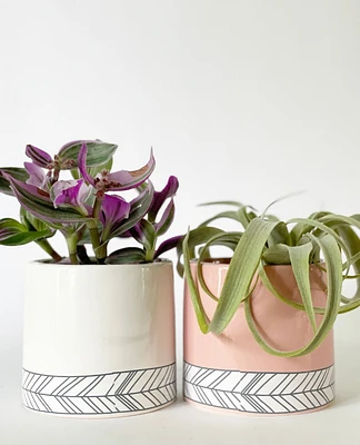 Lola Plant Pots