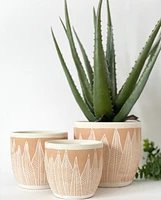 Amazon Plant Pot -Light Pink