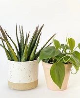 Terre Plant Pots