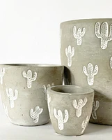 Cement Cactus Plant Pots