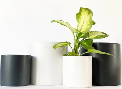 Cercle Plant Pot Collection