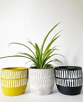 Millie Plant Pots