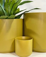 Kendall Plant Pot -Dijon