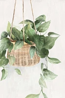 Hanging Basket Artwork