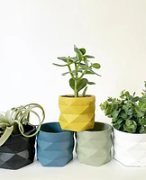 Geo Plant Pots