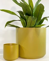 Kendall Plant Pot -Dijon