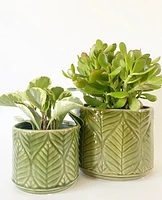 Green Leaf Plant Pot