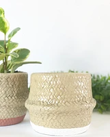 Cement Basket Pots