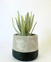 Toonie Plant Pot