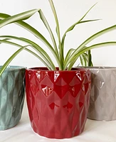 Summerhill Plant Pots