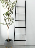 Hilary Blanket Ladder