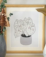 Caladium Star Art Print