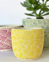 Lotus Plant Pots