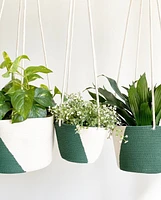 Hanging Plant Baskets