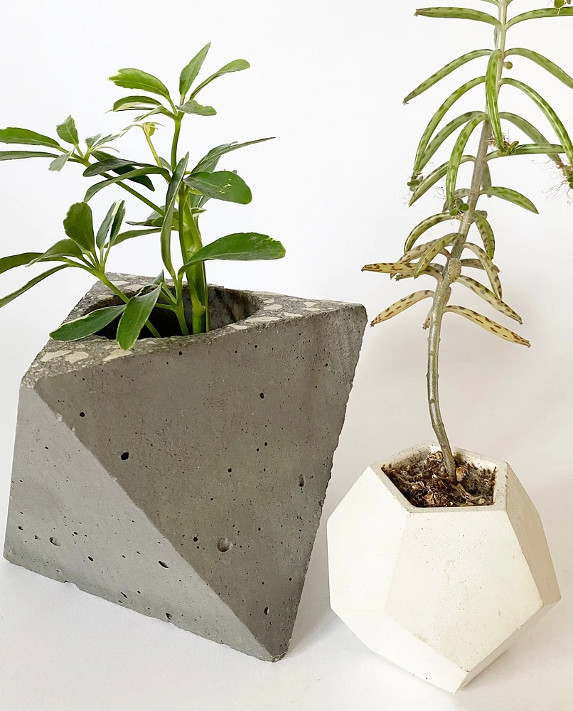 Edgy Cement Pots