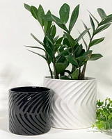 Gala Glazed Plant Pots