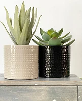 Lewis Plant Pots