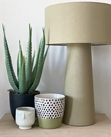 Olive Plant Pot -Green