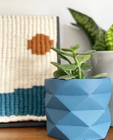 Geo Plant Pots