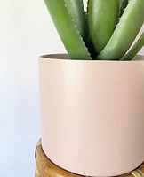 Kendall Pink Pot Collection