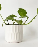 Denmark Plant Pot